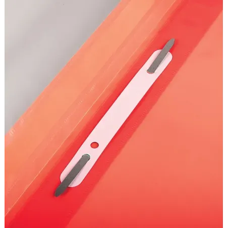 Mapa s pvc sponko Forpus, mat