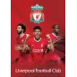 Zvezek Liverpool A4 črte brezčrtni