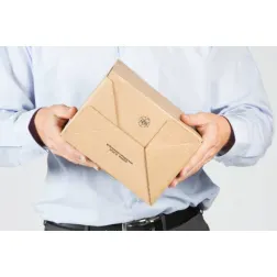 Kartonska škatla AUTOBOX 360X240X240 mm, 1/1