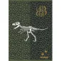 Zvezek Street Dinosaurs A4 brezčrtni