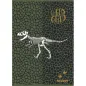Zvezek Street Dinosaurs A5 črte z robom