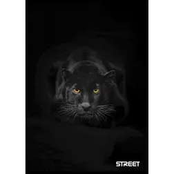 ZVEZEK STREET SAFARI A5 OC 54L 80GR