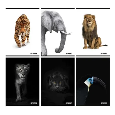 Zvezek Street Safari A5 brezčrtni