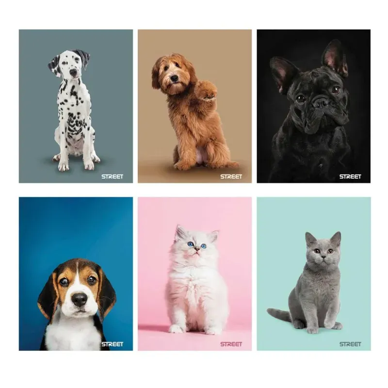 Zvezek Street Friends A4 črte z robom