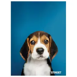 ZVEZEK STREET FRIENDS A4/OC 54L 