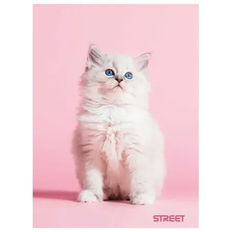 Zvezek Street Friends A4 karo