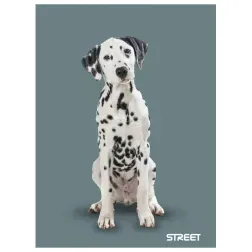 ZVEZEK STREET FRIENDS A4/1CM KARO 54L 