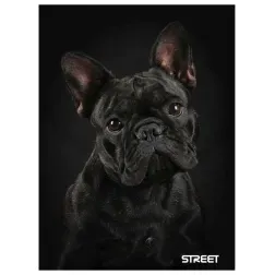 ZVEZEK STREET FRIENDS A5/OC 54L 