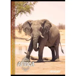 Zvezek Street Africa A4 brez črt