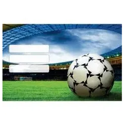Nalepke za zvezke TEEN BOYS 10/1