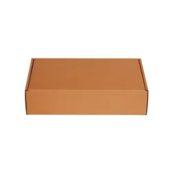 Kartonska škatla Sendbox A5+, 250x160x80mm