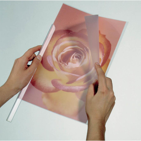 Profilna mapa Durable 2919, 50/1