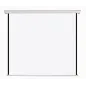 Projekcijsko platno 200 x 200 cm, električno